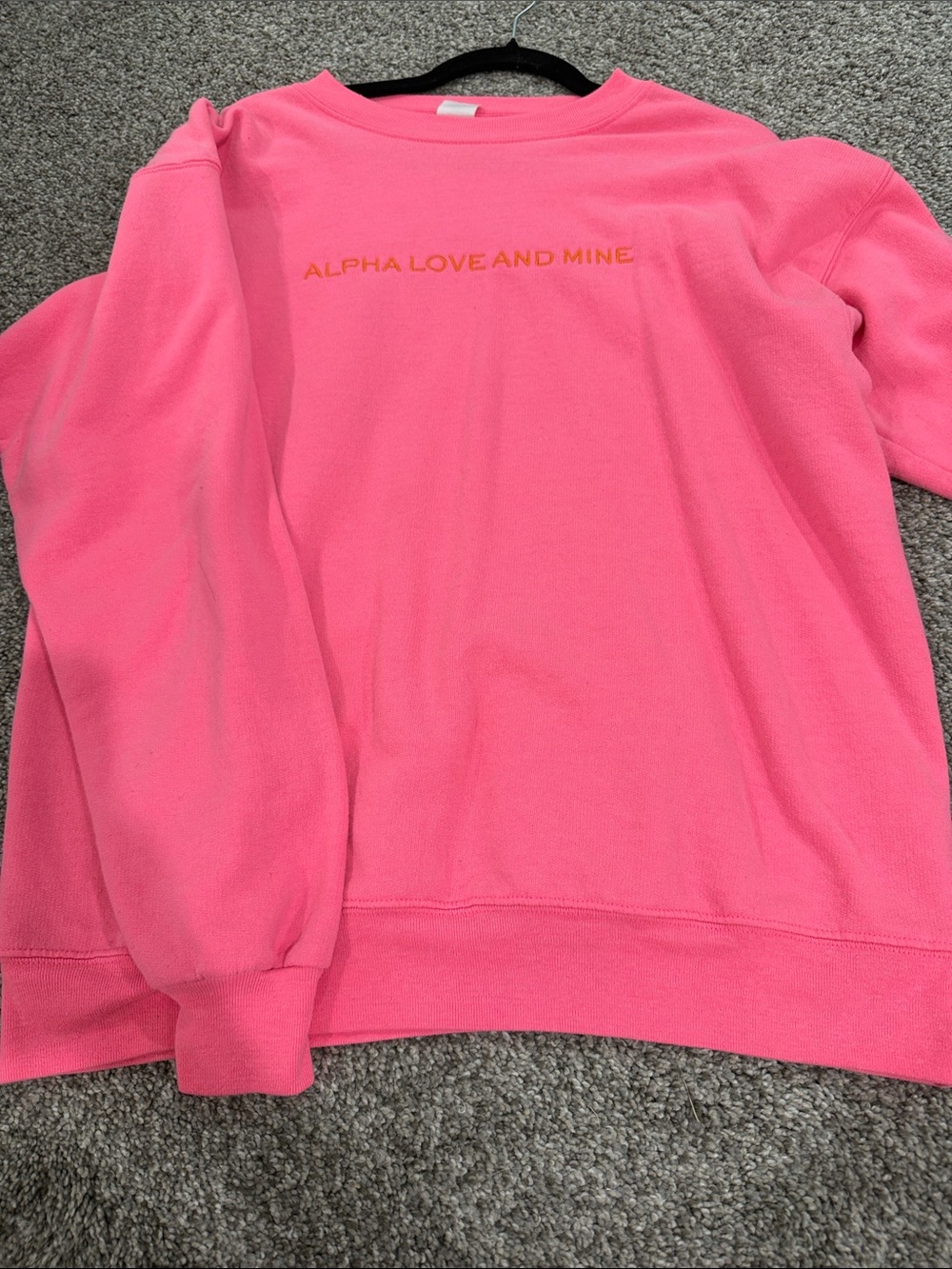 Aoii Pink Crewneck Sweatshirt